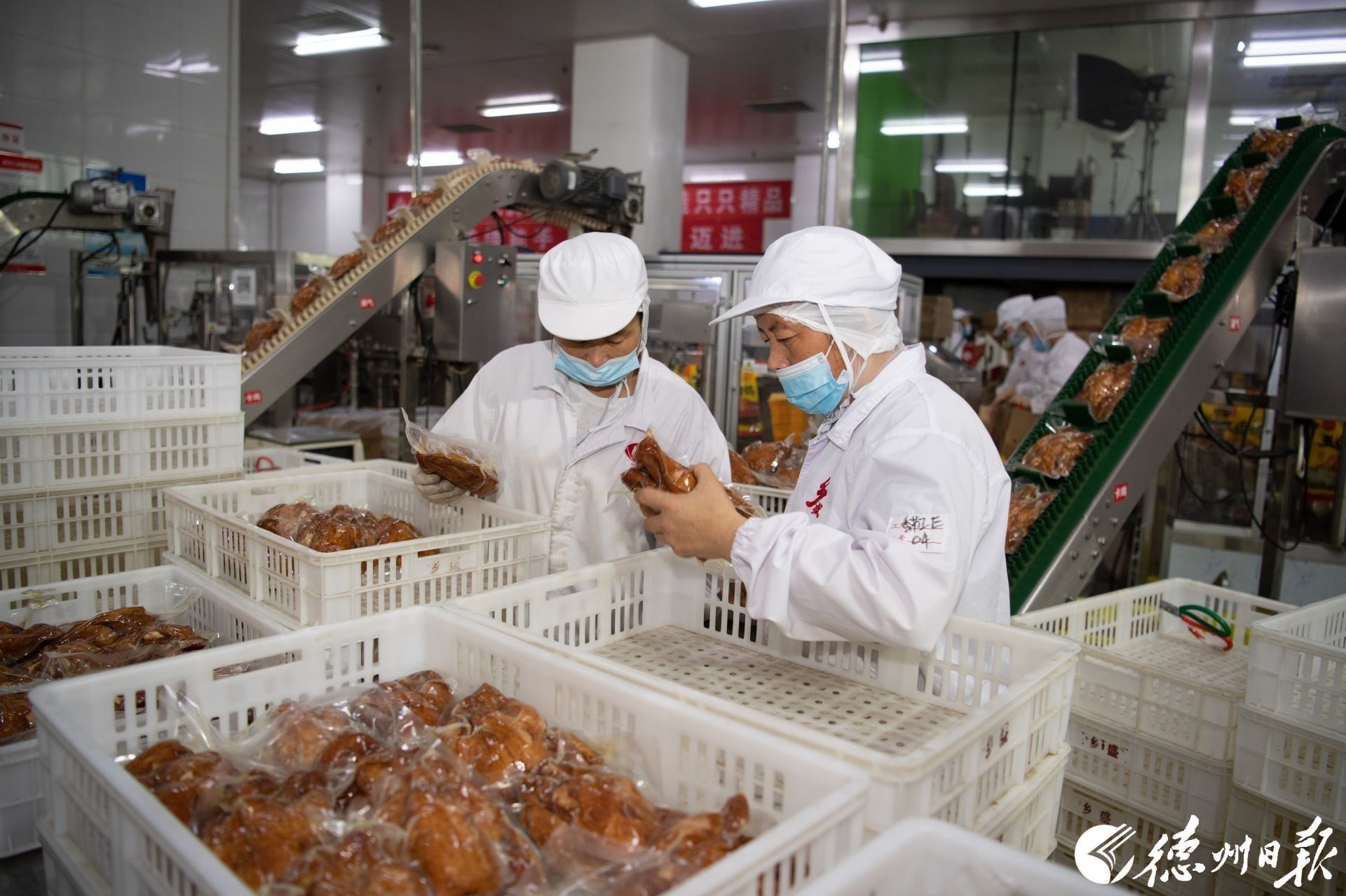 德州日报社社长,德州日报社长总编