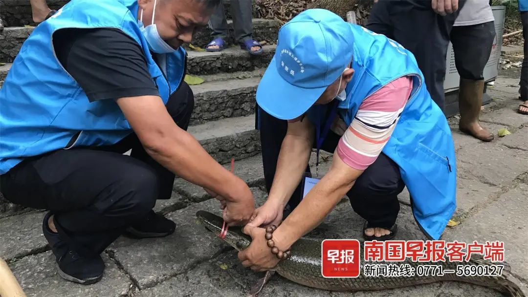 11号台风轩岚诺最新消息,第11号台风轩岚诺实时路径