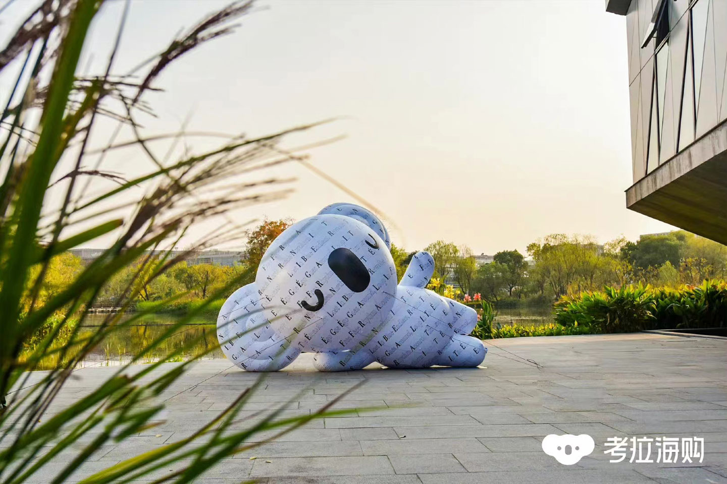 阿里动物园考拉,网易考拉进驻