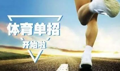 陕西理工大学2023年体育单招,2023年体育单招政策