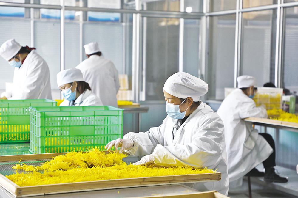 奋进新时代筑梦新征程小结,奋进新征程谱写新篇章总结