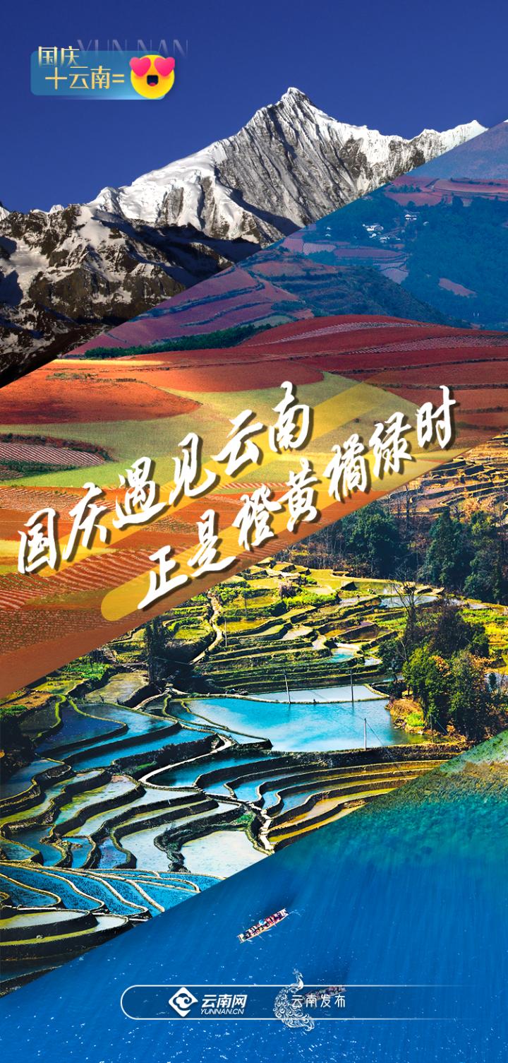 昆明最美的秋天,别眨眼带你看花海