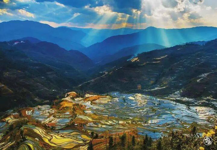 昆明最美的秋天,别眨眼带你看花海