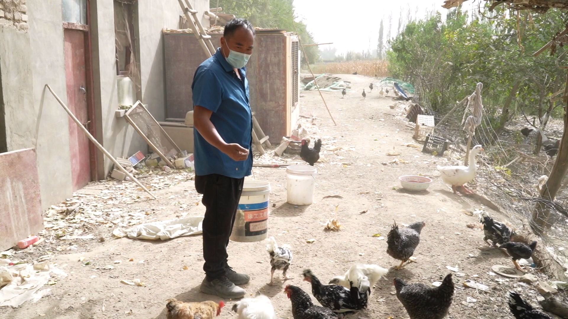 玉奇吾斯塘乡养殖,玉奇吾斯塘乡