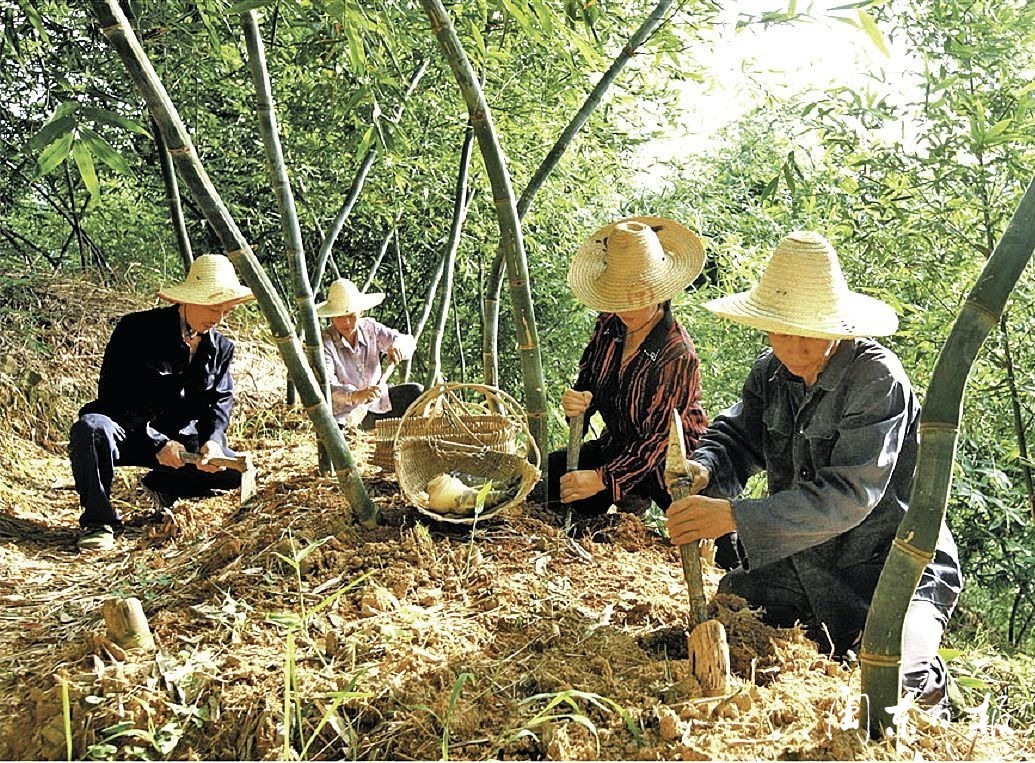 黄沟非凡十年,非凡十年飞跃新如皋