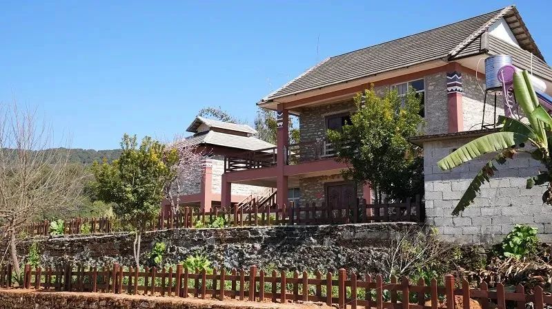 奋进新征程建功新时代“西盟姐妹”返乡创业用青春追梦圆梦