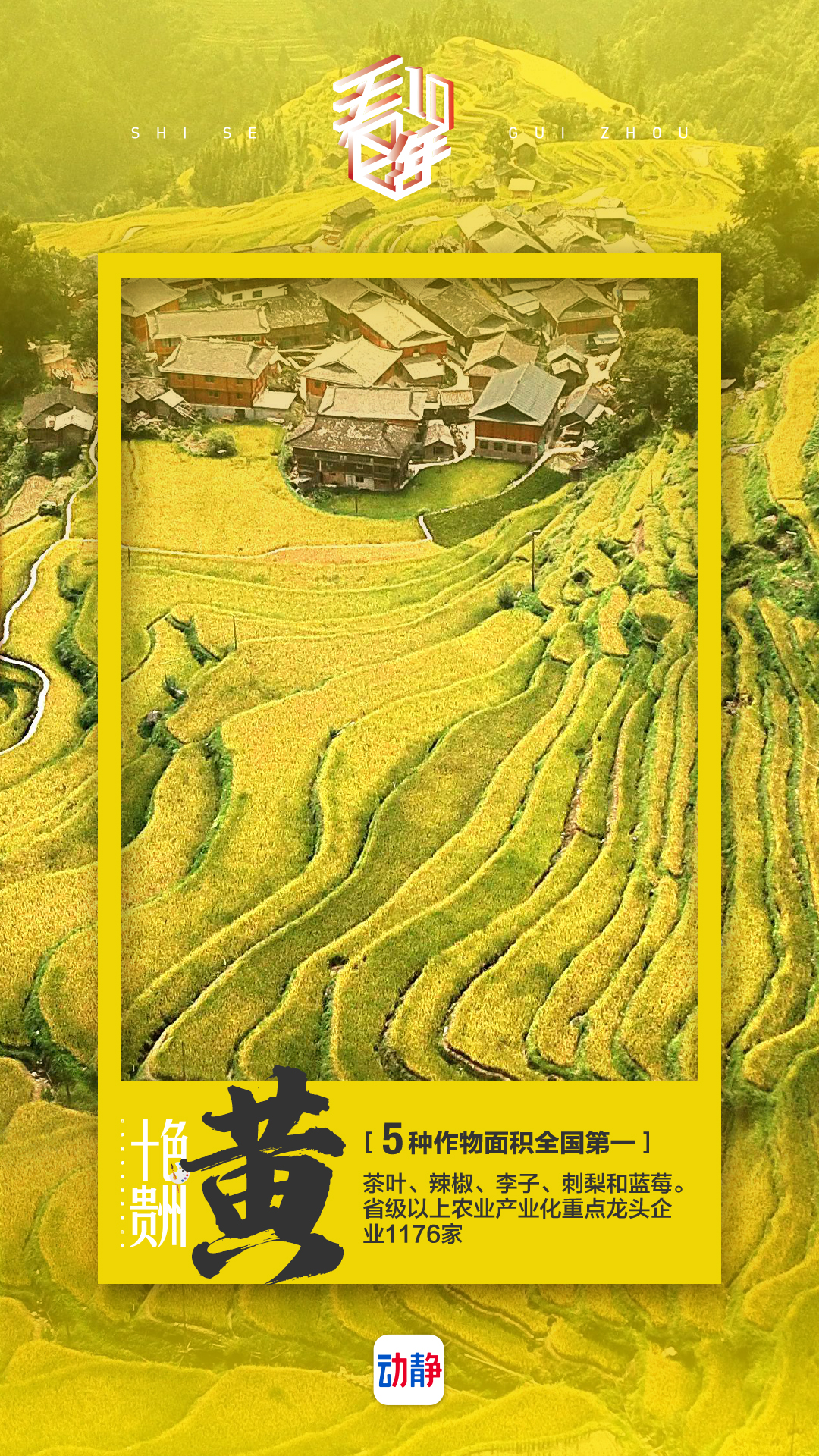 多彩贵州视觉元素,多彩贵州到底有多美