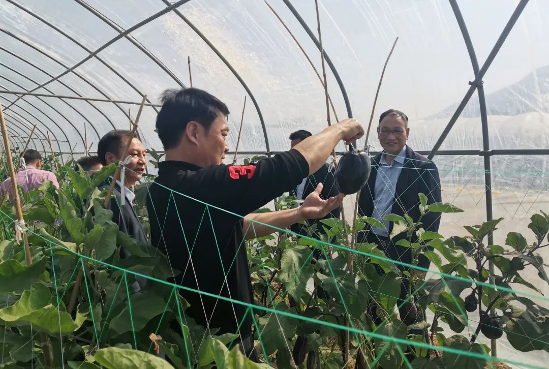 非凡十年看泸酒巨变,非凡十年出彩