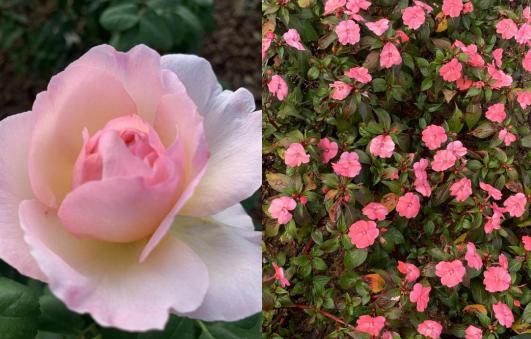 沙湖户外遛娃攻略一日游,沙湖带娃怎么玩便宜又好玩