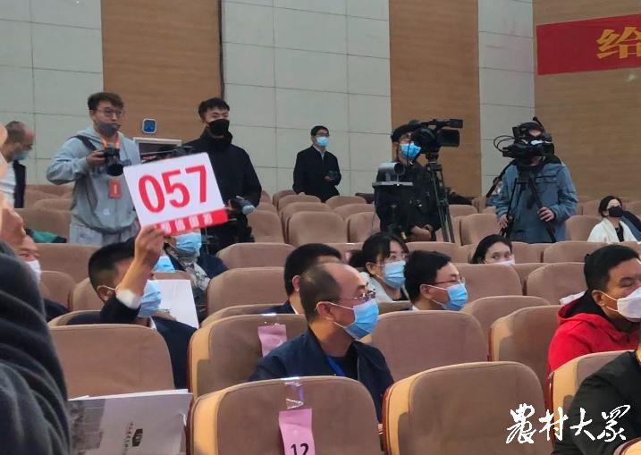 玉米新品种鲁单513,鲁单513玉米新品种