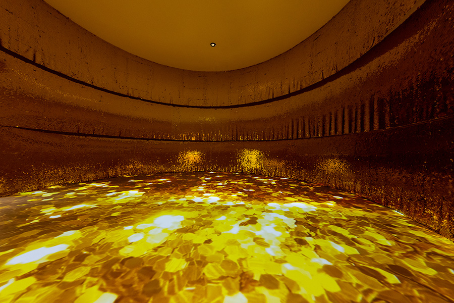 兰蔻菁纯艺术展预热,兰蔻菁纯艺术之夜