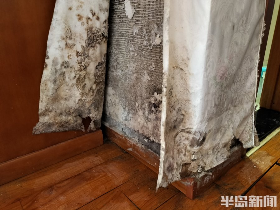 地漏反水造成楼下阳台滴水,下水道倒灌致多住户家中污水横流