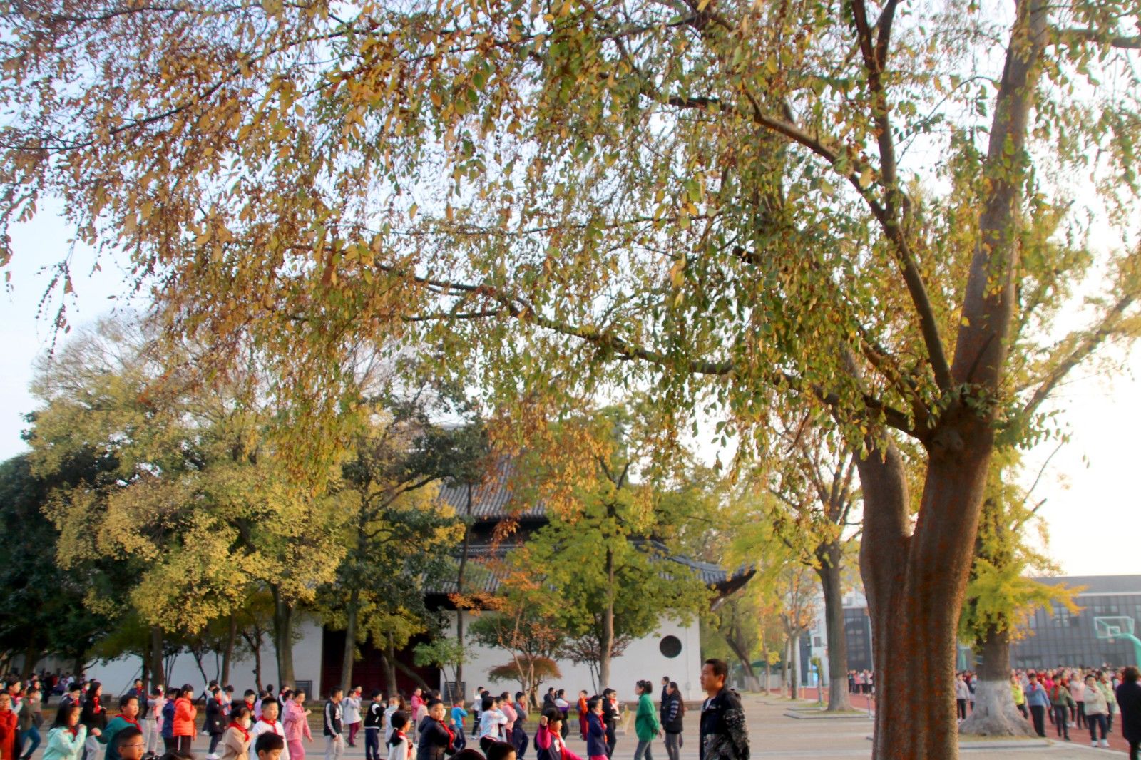 苏州美景图片大全大图,苏州水乡绝美的景色全景图