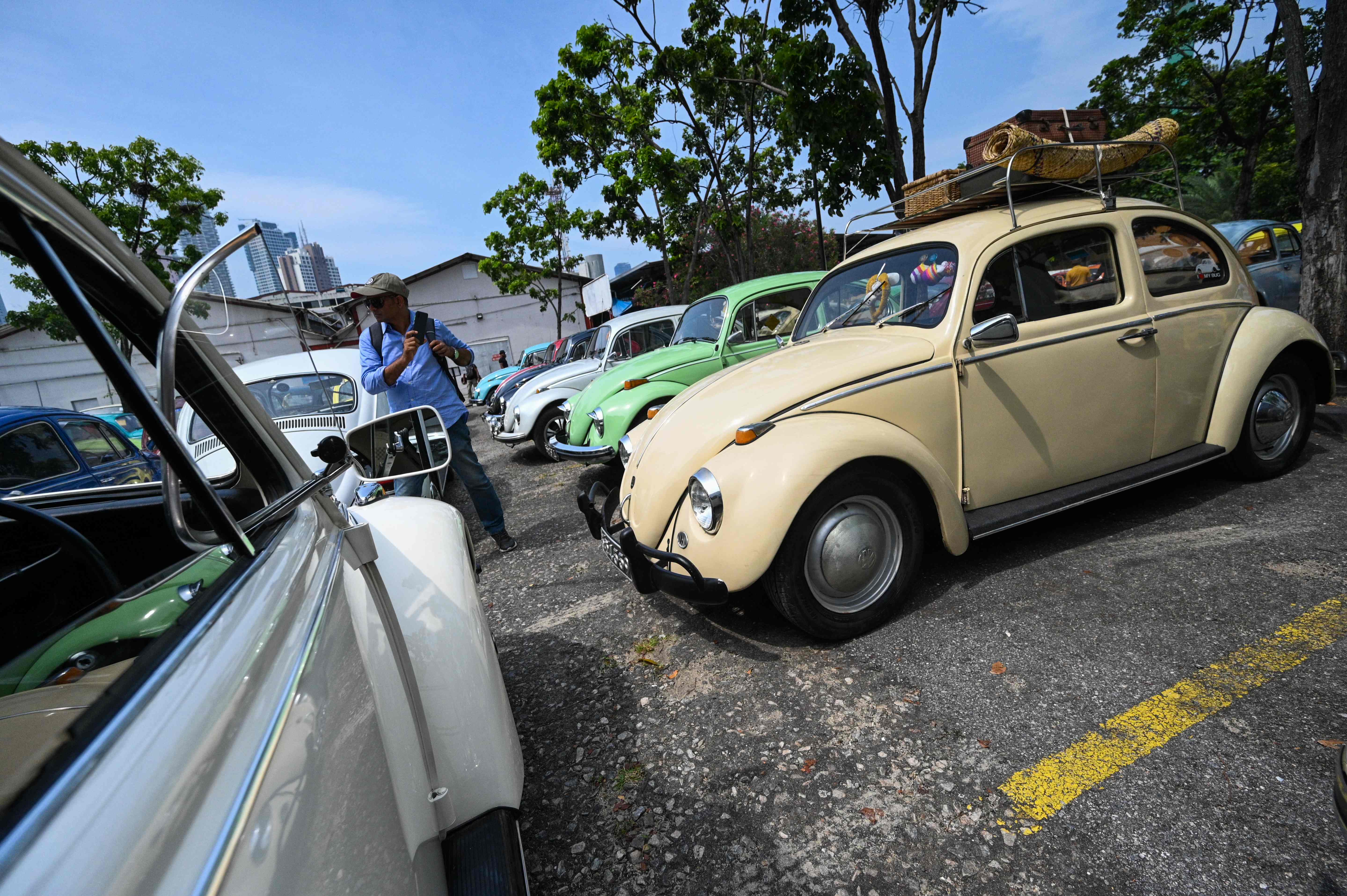 芬兰甲壳虫,甲壳虫国外