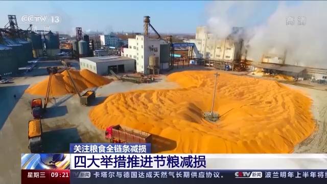 粮食全链条减损包括哪些环节,中国粮食生产取得重要成就