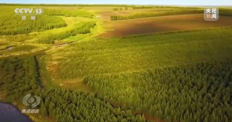 久久为功努力改善人居环境,筑绿色长城生态屏障