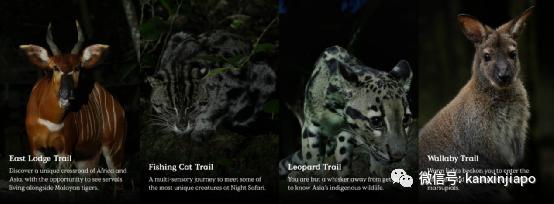 新加坡夜间动物园演出,新加坡夜间动物园表演预约