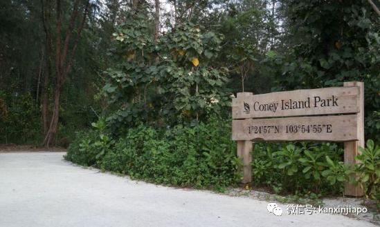 新加坡骑行攻略,新加坡适合骑行的地方