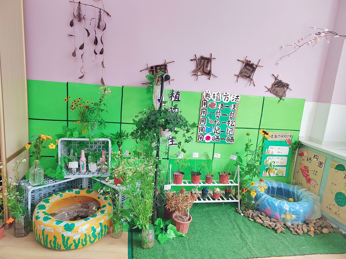 湘南幼专的学前教育,湘南幼专课程表