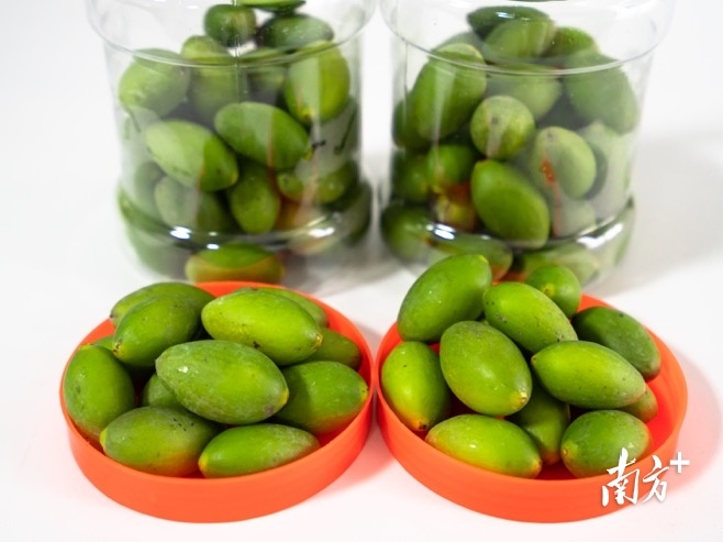 市面上好吃的橄榄有几个品种,橄榄的种类和区别