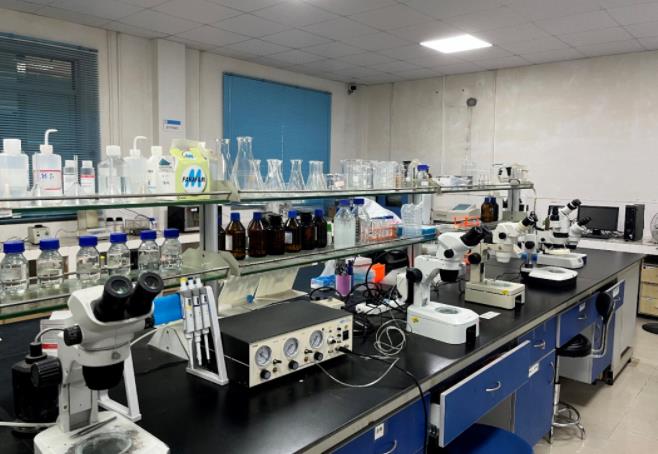 海大百容鲫价格,海大百容水产种苗