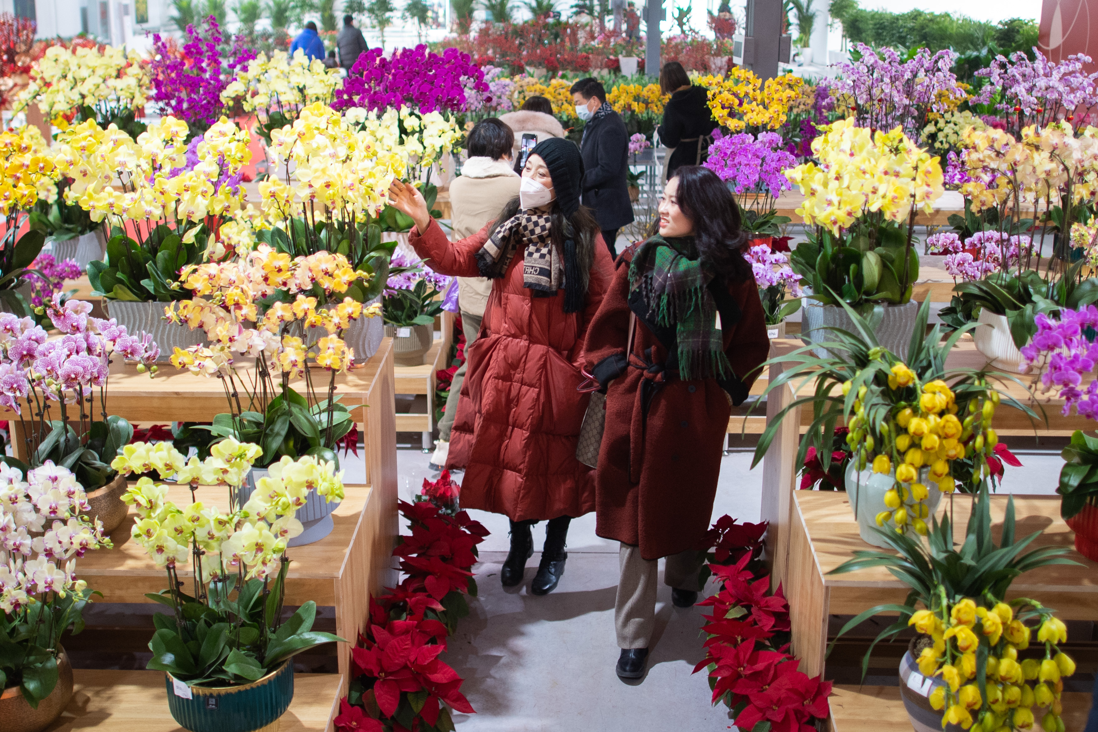 新华全媒19大互动,新华全媒视频