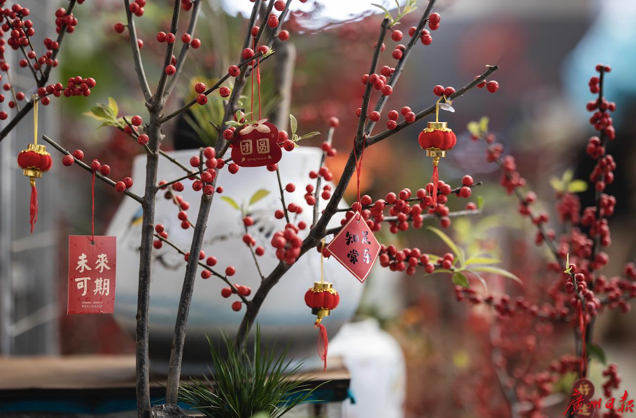 广州传统花市什么时候结束,广州传统迎春花市
