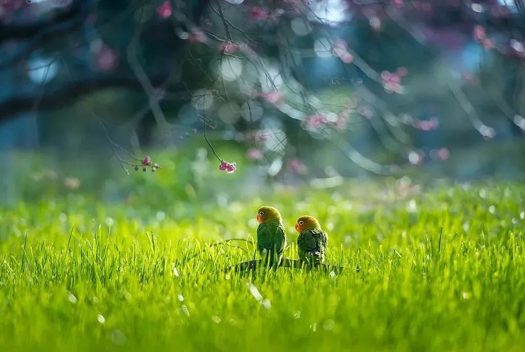 二十四节气歌立春小寒大寒,二十四节气歌立春梅花开