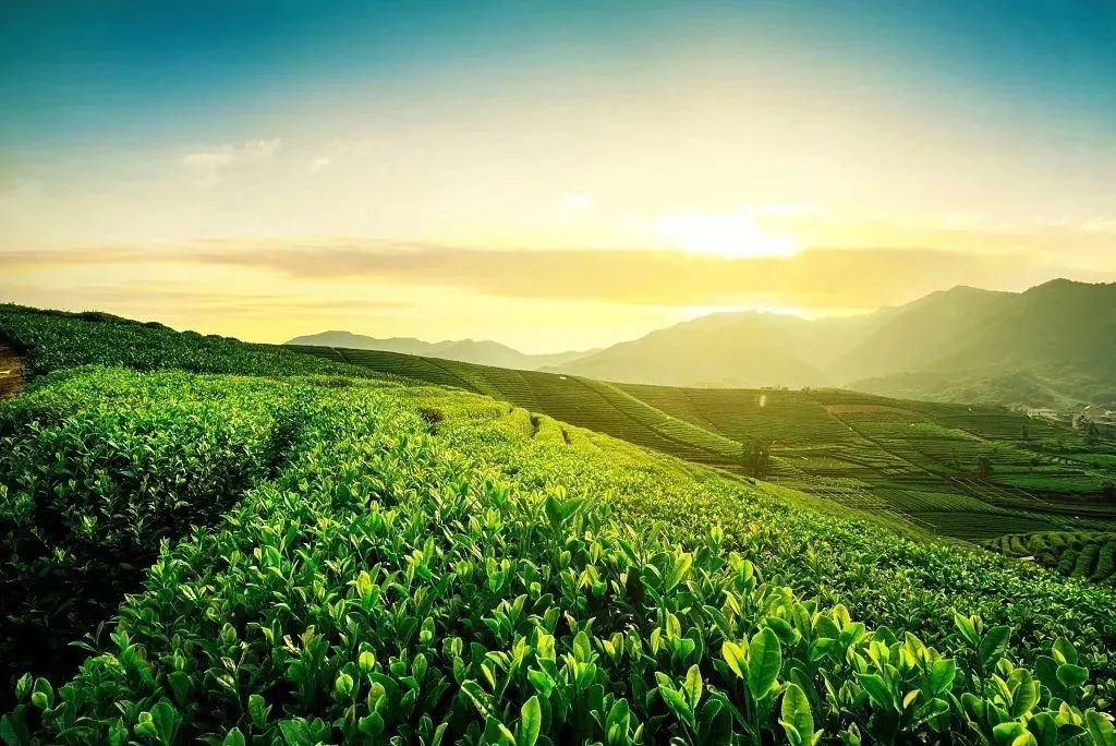 二十四节气歌立春小寒大寒,二十四节气歌立春梅花开