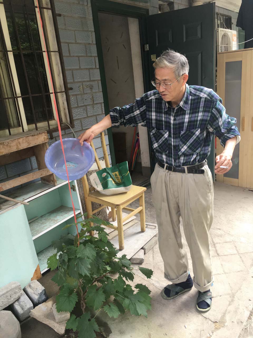 日本岛田孝治,日本岛田老爷爷