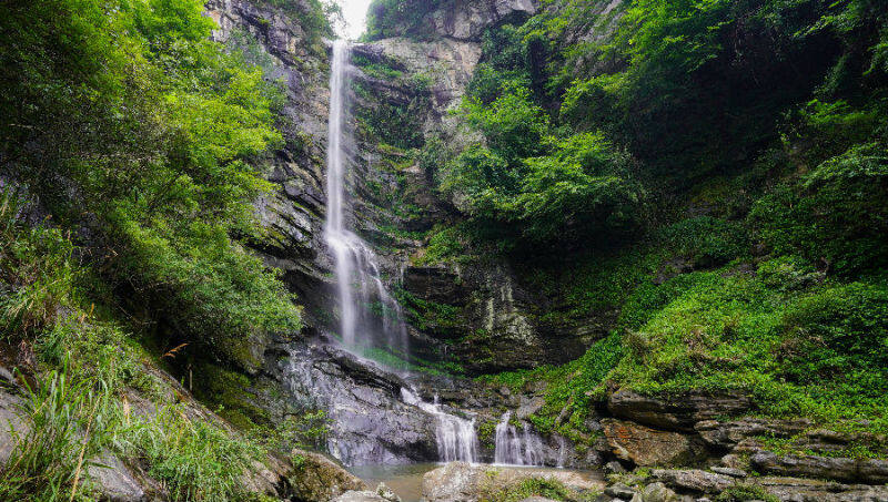 康养项目招商引资,湖北蕲春康养项目