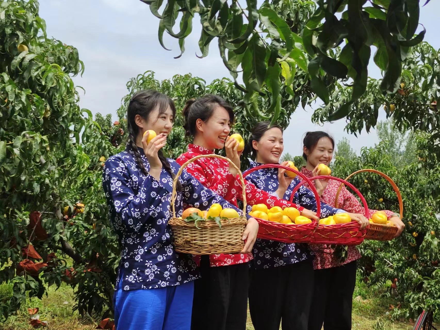 山东乡村特产分享,探访山东地道美食