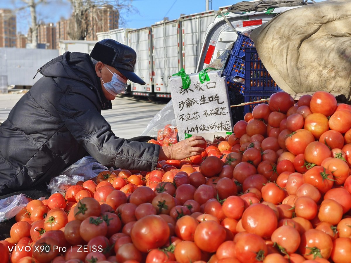 vivox90pro+鎷嶆憚鏍峰紶,vivox90pro瀹炴媿鏍峰紶