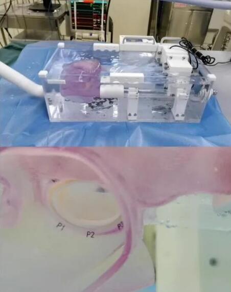 中国鞋靴设计大赛,中国运动鞋设计图