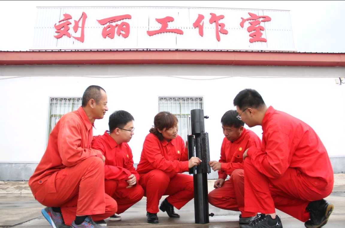 大国工匠刘丽阅读答案,大国工匠刘丽