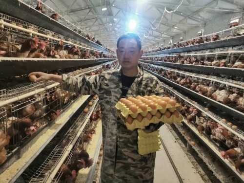 卢氏：抱团取暖规模养殖凸显生态经济效益