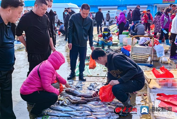 南姜码头现在有什么海鲜,实探海边最便宜的房子