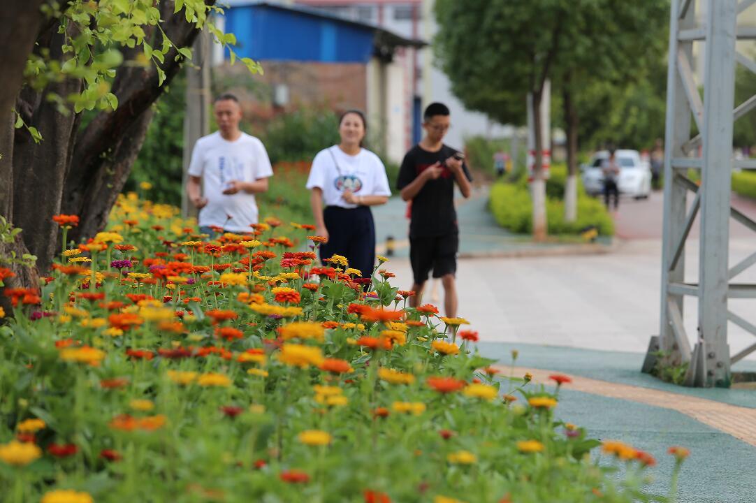 云南禄丰:绿美城市唱响“幸福歌”