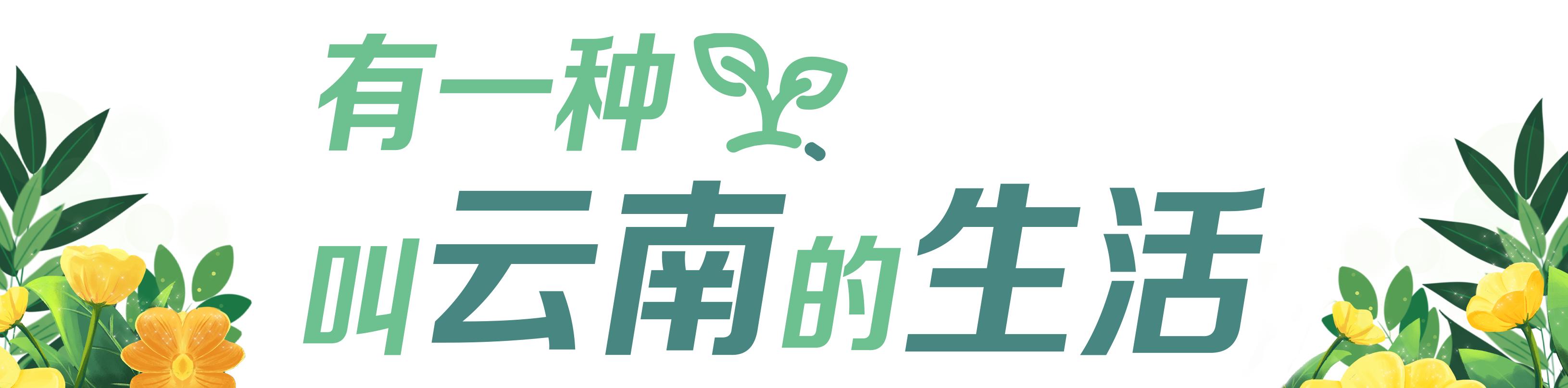 云南高铁乘坐攻略,云南旅行高铁免费