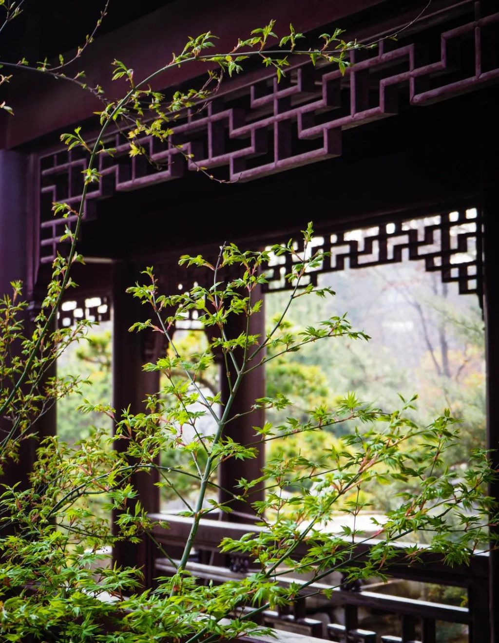 半岛叨叨丨放假7天！青岛这所高校冲上热搜，网友：又是别人家的学校