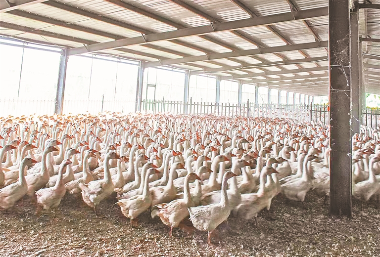 撸起袖子加油干一年赚个三千万,撸起袖子努力挣钱加油干