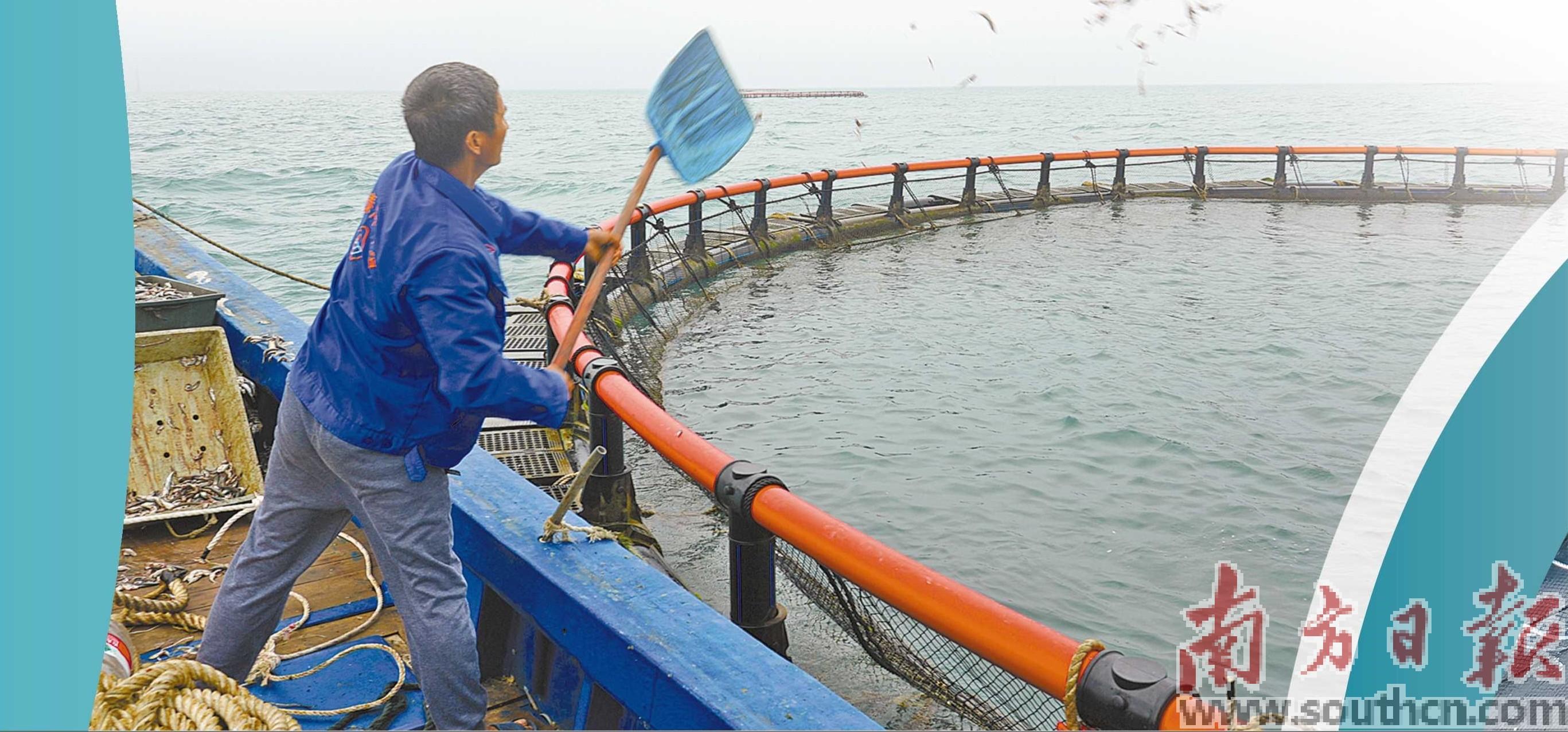 逐梦深蓝向海图强舞蹈,逐梦深蓝向海图强英语