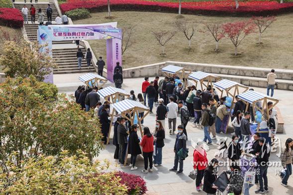 光谷现代服务业园：“e心向*党**”嘉年华汇聚互联网红色力量