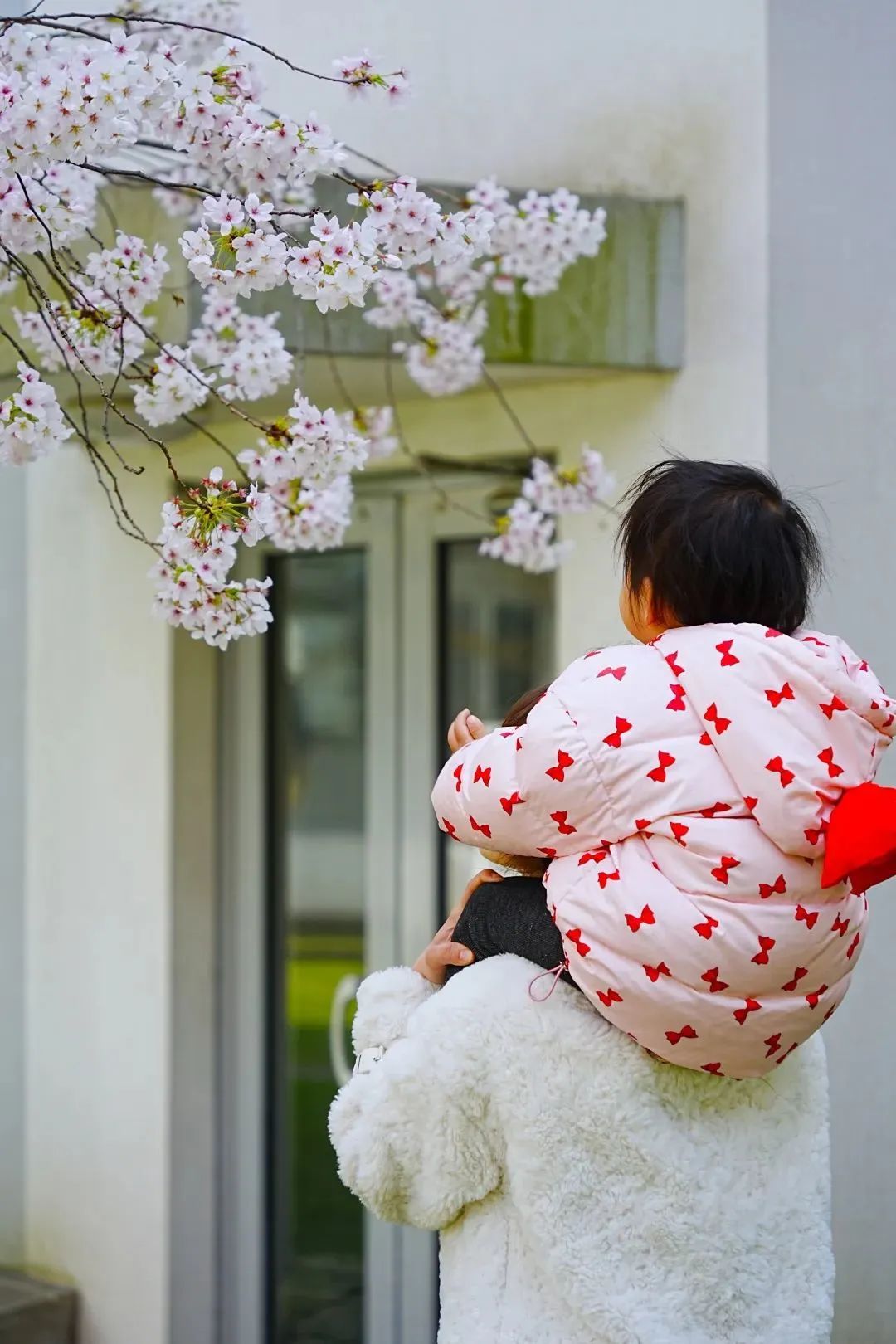 春日赏花先识花，识花先看这一篇~
