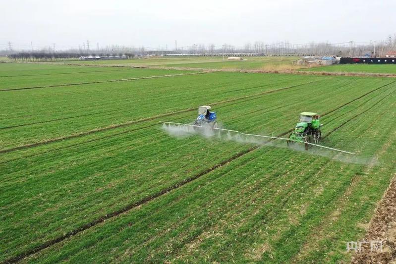 邳州大蒜产业园,邳州大鸿图