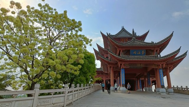 有一种叫云南的生活|云南的“宝藏绿化带”里可不只有迷迭香!