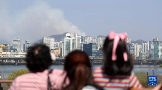 韩国山火烧毁,韩国首尔市中心发生山火