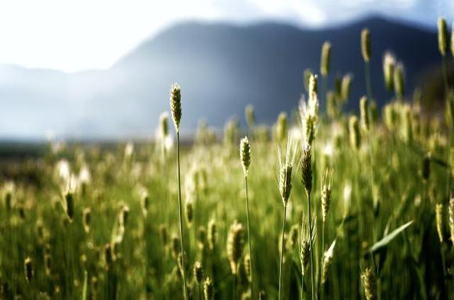 新品丨三镜齐发，17mm、50mm、23mm灵动登场！