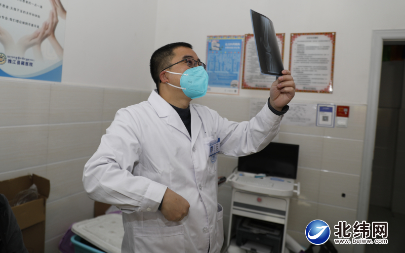 短腿安吉拉,安琪拉实力