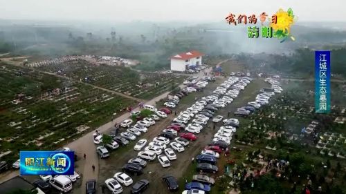 清明节绿色文明网络祭扫,文明祭扫和谐清明